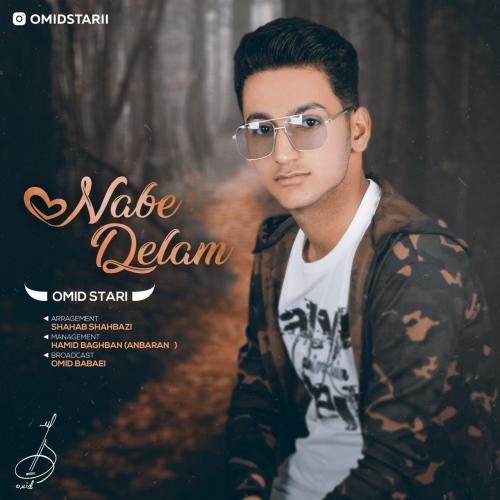 دانلود آهنگ ناب دلم